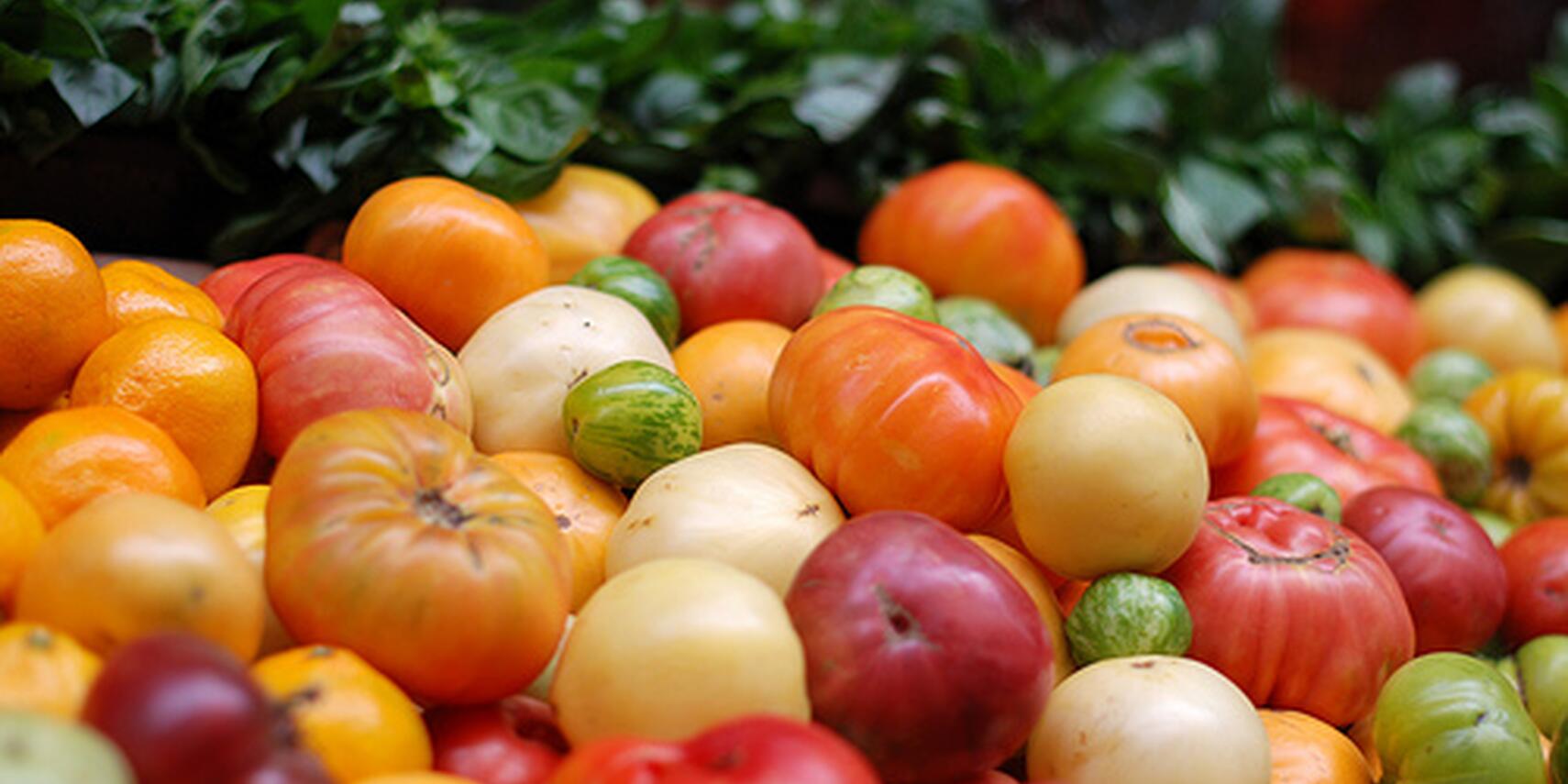 San Francisco Wholesale Produce Market tour SPUR